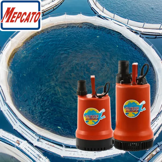400W Large Flow Electric Plastic Utility Agricultural Irrigation Farming Fish Ponds Swimming Pools Sea Water Circulation Centrifugal Submersible Drainage Pump 