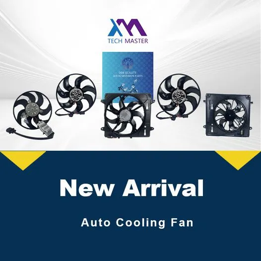 Radiator Auto Cooling Fan A4 A5 A6 A7 C7 B8 8K0959455f Car Auxiliary Fan 